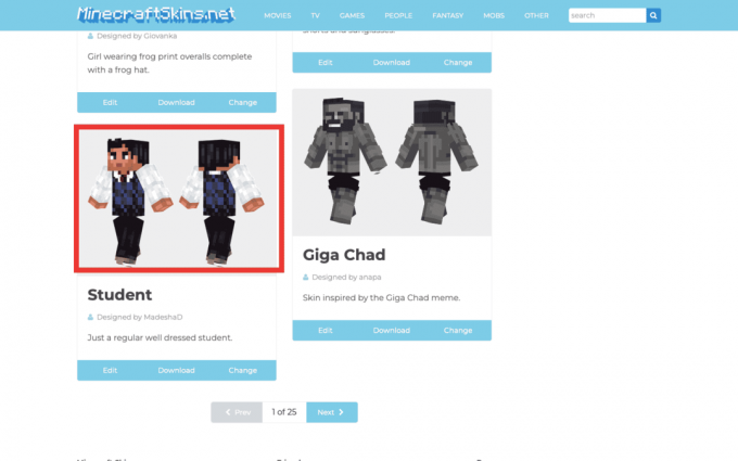 een skinpakket selecteren op de minecraftskins-website. Hoe de huid te veranderen in Minecraft PC