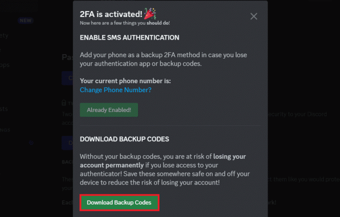 Klicken Sie auf Backup-Codes herunterladen und speichern Sie die Datei | Discord 2fa funktioniert nicht