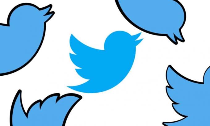 Илон Мъск туитове с добро съдържание Ботовете получават Twitter API безплатно