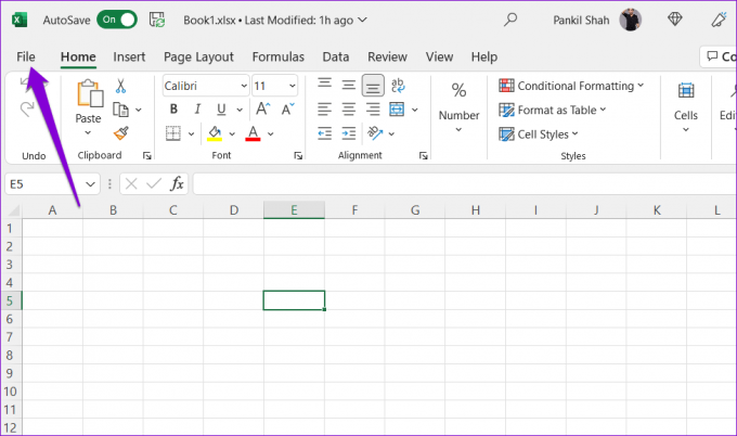 Meniul Fișier Excel