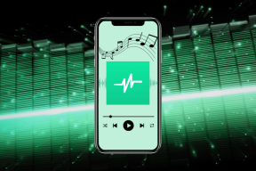 Hur man laddar ner Parrot Voice Recorder-appen på Android – TechCult