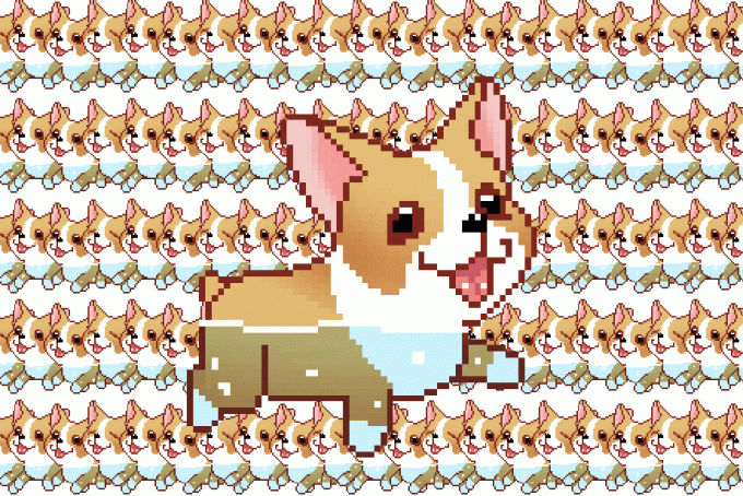 Corgi Orgy | Zbytečný web a weby pro nudu