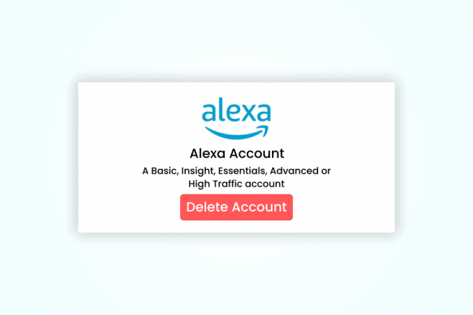 Cum îmi șterg contul Alexa