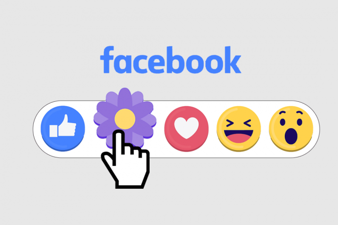 mikä on facebookin violetti kukka