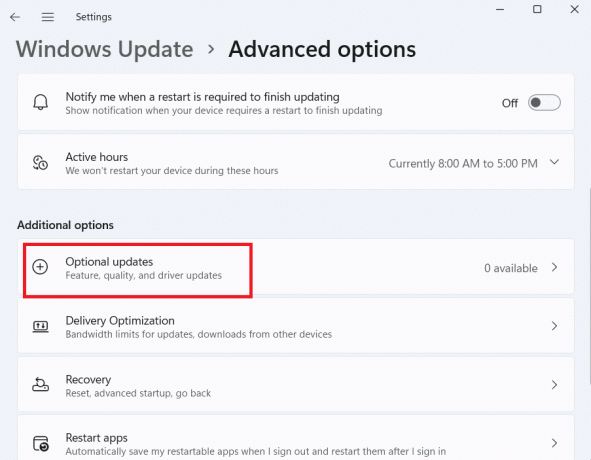 Klicken Sie auf Optionale Updates.