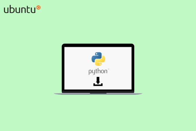 So installieren Sie Python in Ubuntu