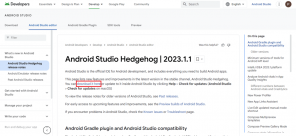Lista de versiuni Android Studio: Electric Eel to Hedgehog – TechCult