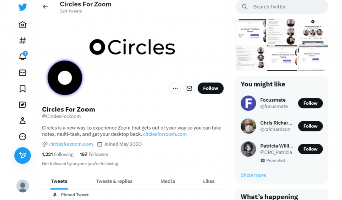 Círculos para la página de Twitter de Zoom