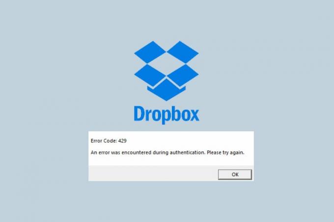 Ako opraviť chybu Dropbox 429