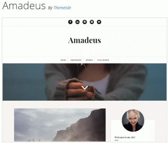 Amadeus Ücretsiz premium Tema