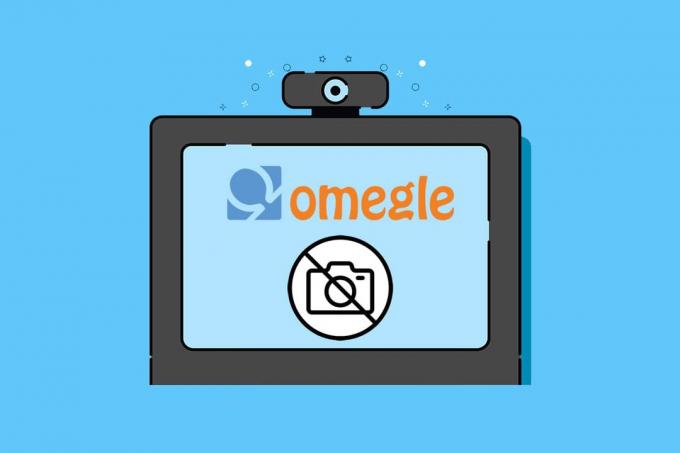 Διορθώστε την κάμερα Omegle που δεν λειτουργεί
