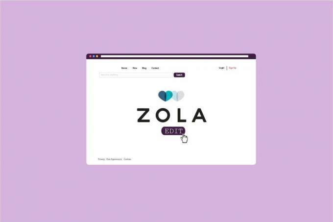 Zola web sitesi nasıl düzenlenir