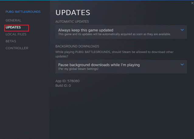 bytt til OPPDATERINGER-fanen og sjekk om noen oppdateringer venter i aksjon. Reparer Steam Error Code 51 i Windows 10