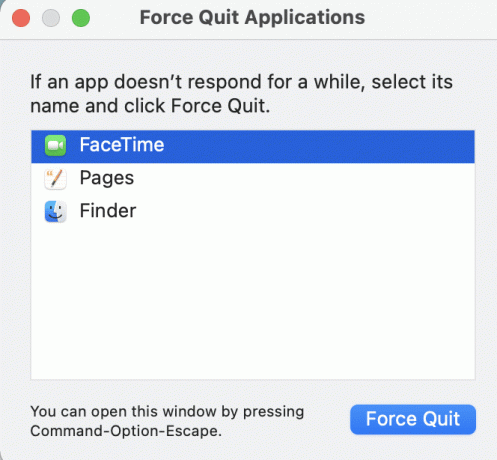 Valige sellest loendist FaceTime ja klõpsake nuppu Force Quit