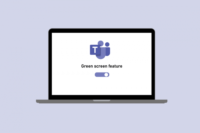 Come abilitare la funzione schermo verde su Microsoft Teams