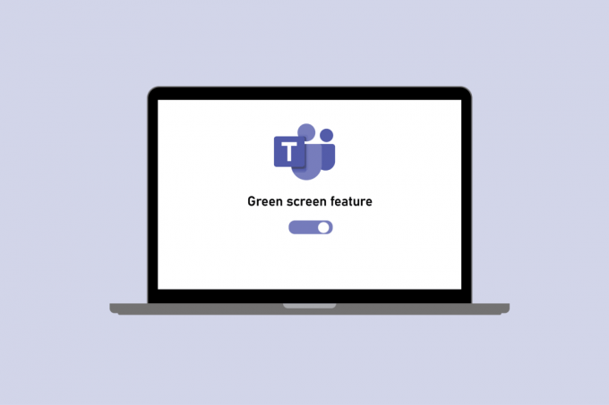 So aktivieren Sie die Greenscreen-Funktion in Microsoft Teams