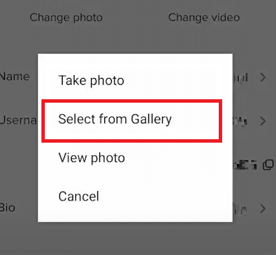 Tippen Sie auf die Option Aus Galerie auswählen und wählen Sie das gewünschte heruntergeladene Bild aus | TikTok pfp-Maker