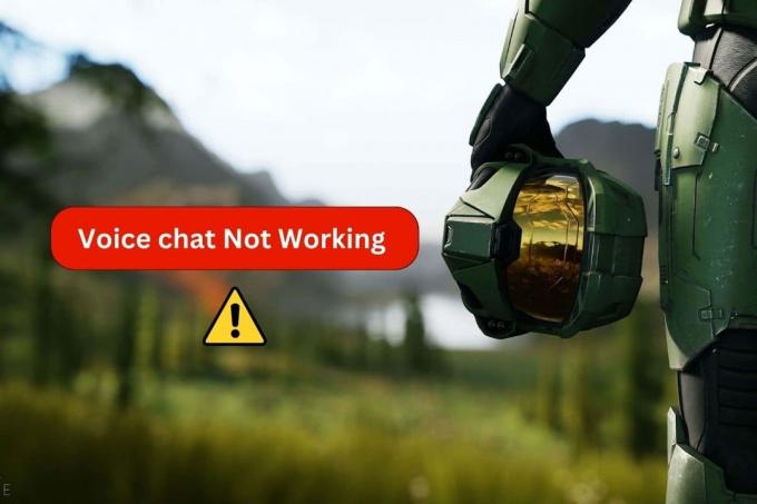 إصلاح Halo Infinite Voice Chat لا يعمل
