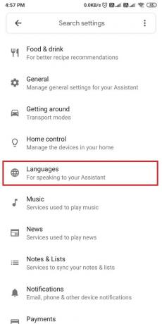 Přejděte dolů a vyhledejte sekci jazyků. | Oprava Nefunkční Asistent Google na Androidu