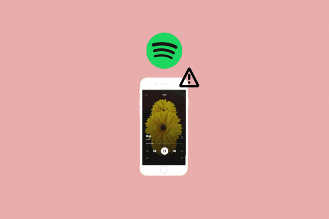 Ispravite Spotify Canvas koji se ne prikazuje