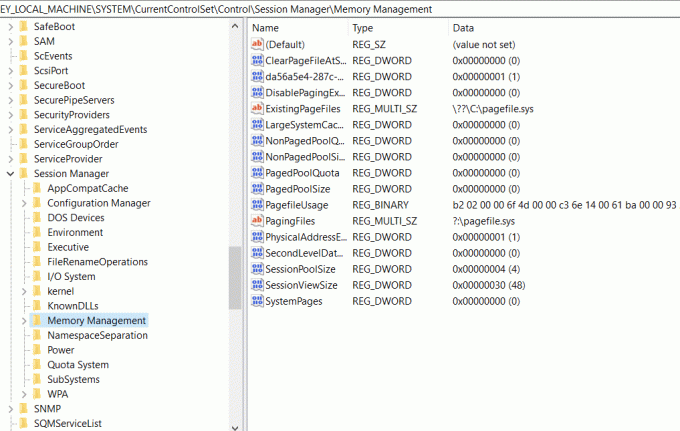 Dobbeltklikk på Memory Management for å åpne den