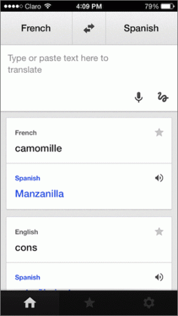 Google Çeviri Ana