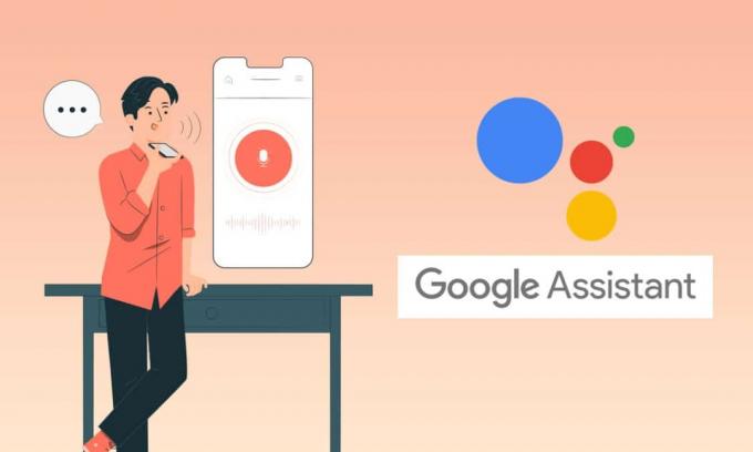 Kuinka voin ottaa Google Assistantin käyttöön tai poistaa sen käytöstä