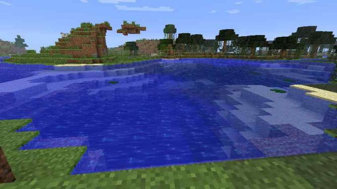 Onko vedestä hyötyä Minecraftissa