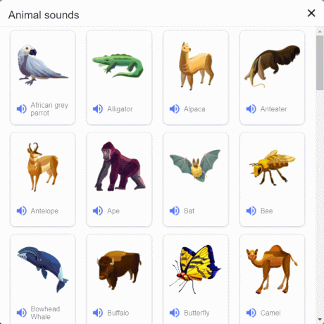 Geben Sie bei Google " Tierstimmen" ein | Beste Google-Tricks und -Tipps