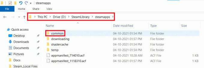 Zawartość folderu steamapps