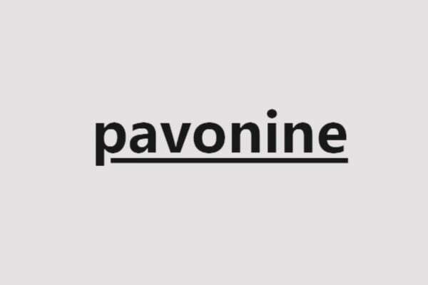 テレプロンプター (Pavonine ソフトウェア)