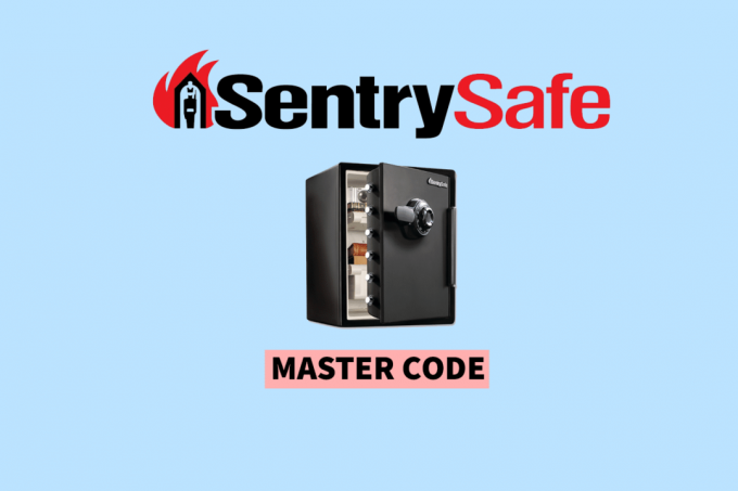 Gibt es einen Mastercode für Sentry Safes?