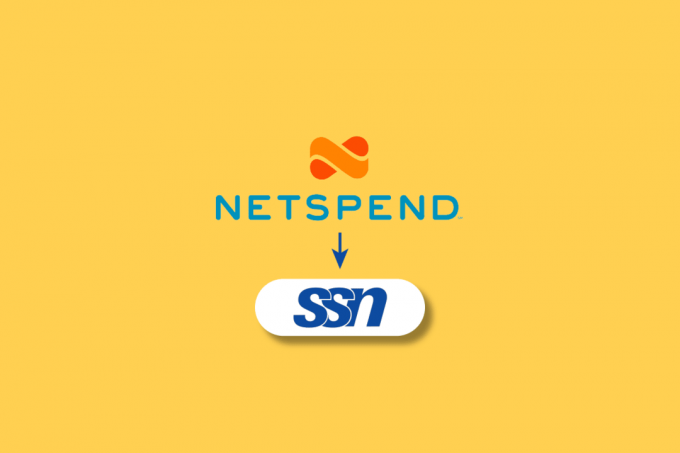 Warum benötigt Netspend meine SSN?