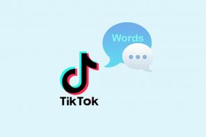 Wie man Wörter auf TikTok ausblendet – TechCult