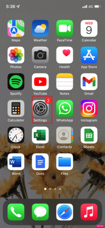 Åbn appen Indstillinger på din iPhone