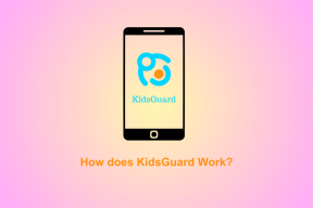 Kako radi KidsGuard – TechCult