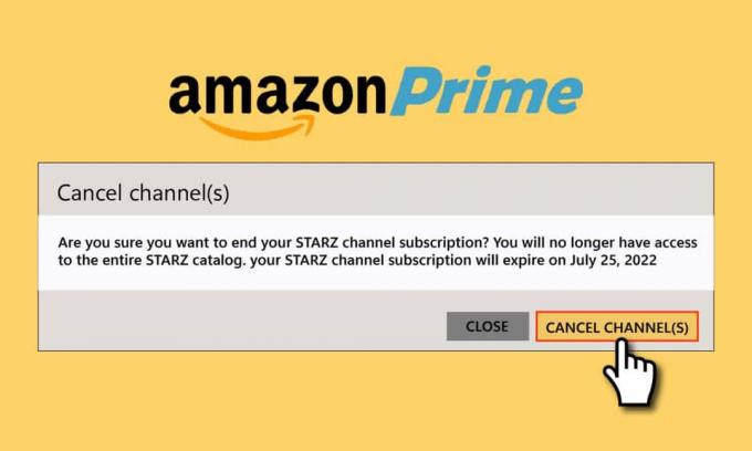 Wie kündige ich ein Starz-Abonnement bei Amazon?