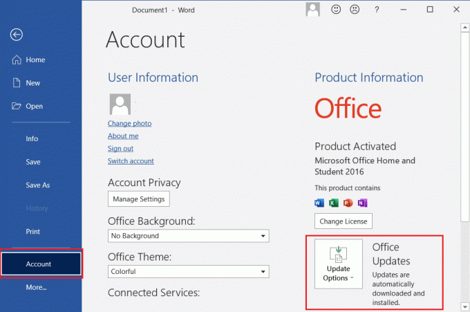 File quindi vai su Account, quindi fai clic su Opzioni di aggiornamento in Microsoft Word