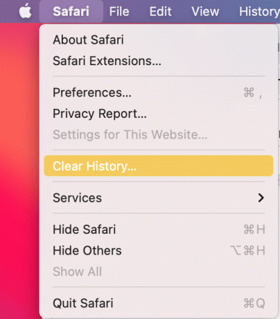 Haga clic en Borrar historial. Reparar Safari no se abre en Mac