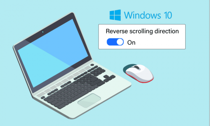 So führen Sie Reverse Scrolling unter Windows 10 durch
