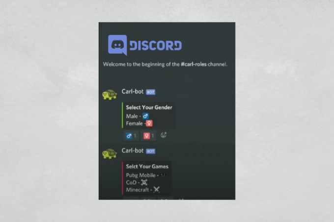 Sådan tildeler du roller selv i Discord