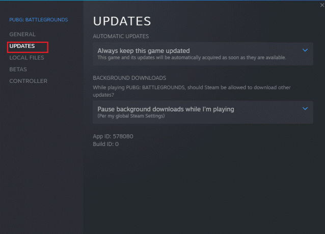 Wechseln Sie zur Registerkarte UPDATES und prüfen Sie, ob Updates in Aktion sind. Dota 2 reagiert nicht in Windows 10 behoben