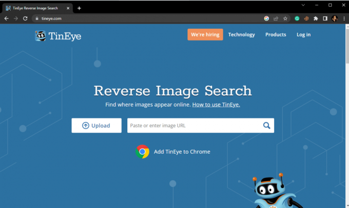 เยี่ยมชมเว็บไซต์อย่างเป็นทางการของ TinEye วิธีเรียกใช้การค้นหารูปภาพ Reverse Scammer