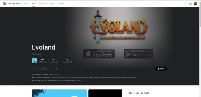 Strona internetowa sklepu Evoland Play