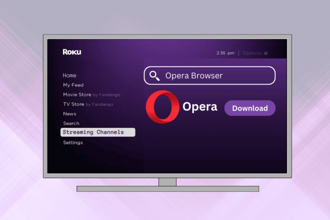 So installieren Sie den Opera-Browser auf Roku TV