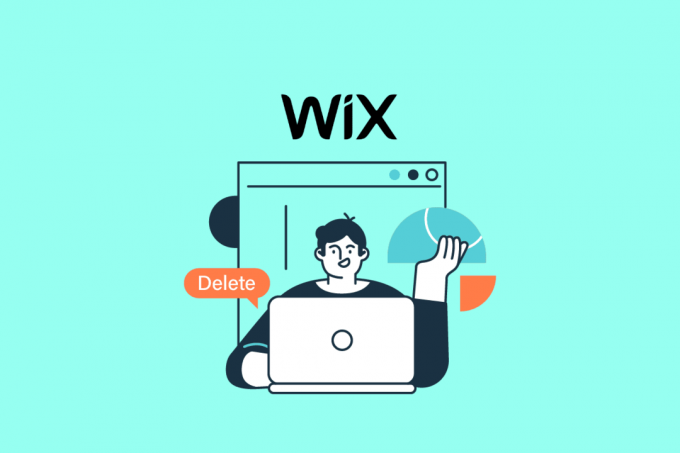 Hogyan törölhet Wix-fiókot | törölje Wix domainjét