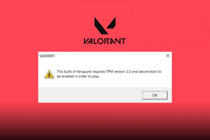 Windows 11에서 Valorant TPM 2.0 오류 수정