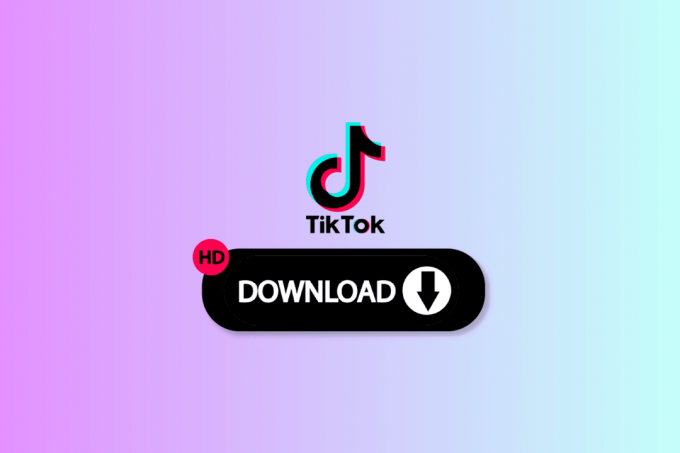 21 Καλύτερο πρόγραμμα λήψης βίντεο TikTok HD