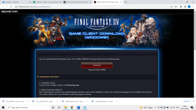 Descargar Final Fantasy X1V