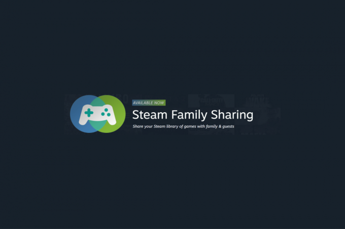 როგორ ჩართოთ Steam ოჯახის გაზიარება